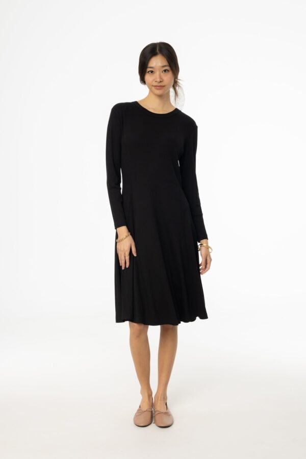 BlackStitchedFlareDress_432aeead-27d5-4a63-a24b-ae354baa2b44.jpg Black Stitched Flare Dress